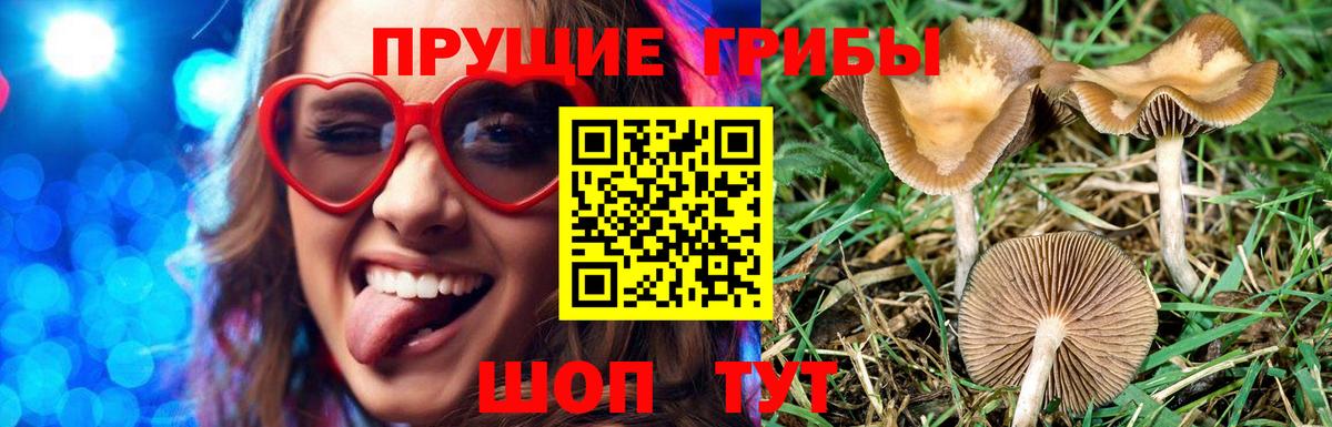 Галлюциногенные грибы Magic Shrooms  Вход с VPN  Волоколамск  что такое   Галлюциногенные грибы MAGIC MUSHROOMS 