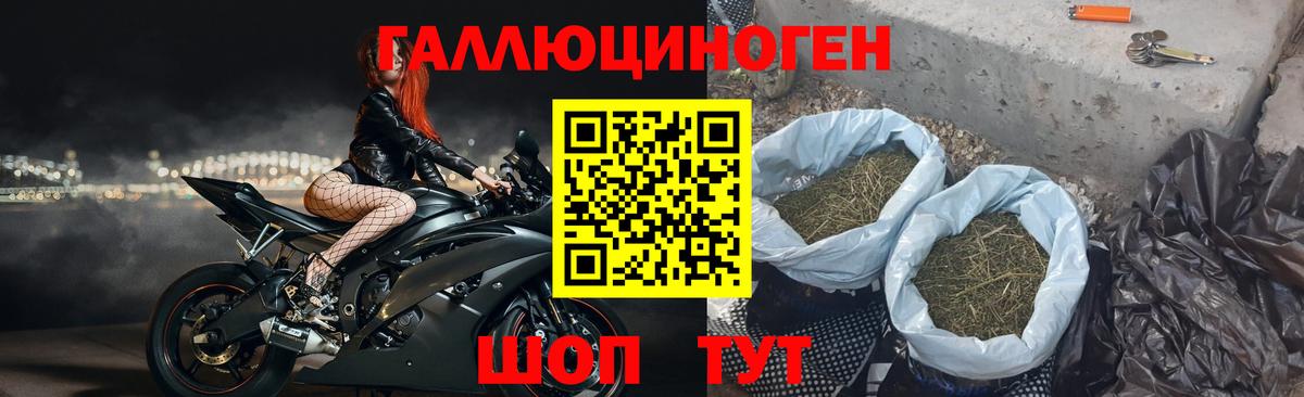 Псилоцибиновые грибы Magic Shrooms Волоколамск